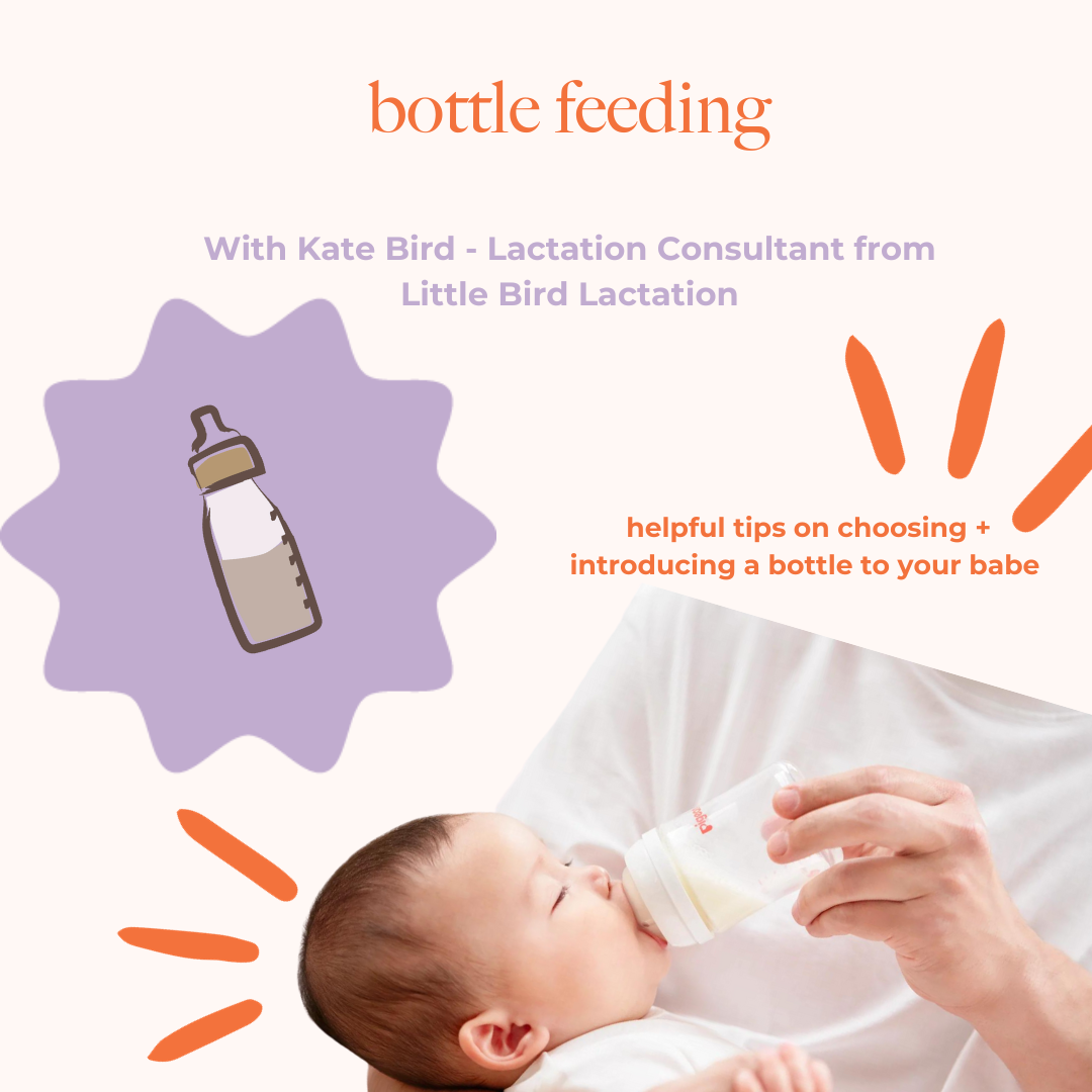 Introducing 2024 bottle feeding