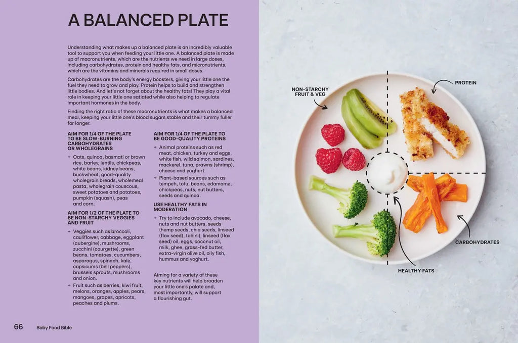 Baby Food Bible by Julia Tellidis and Lauren Skora