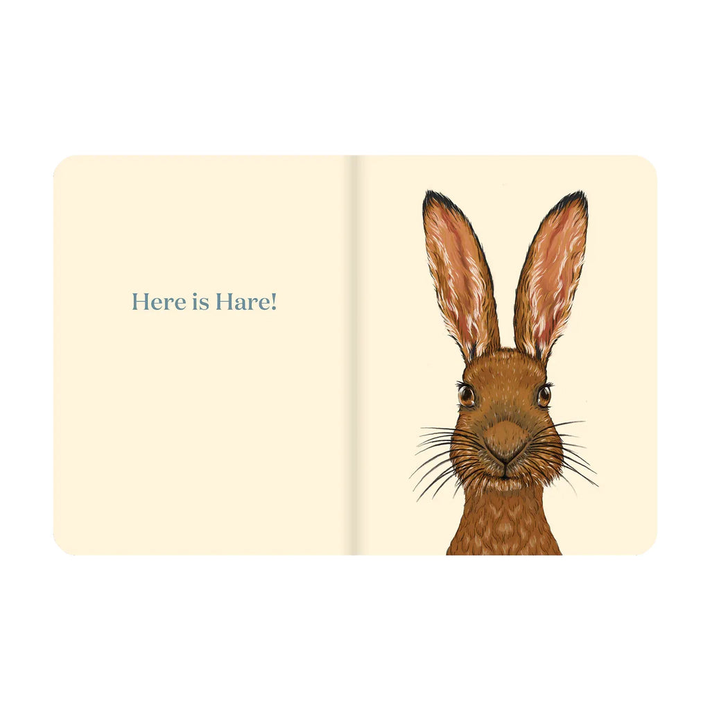 Here is Hare